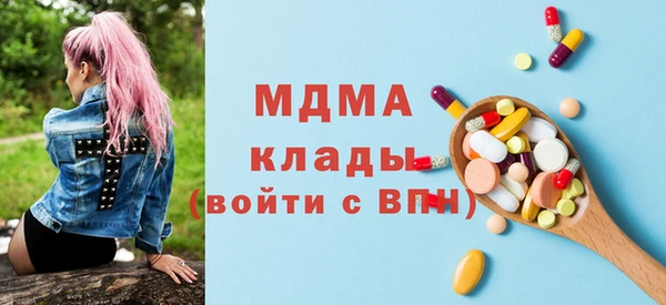 шишки Гусиноозёрск