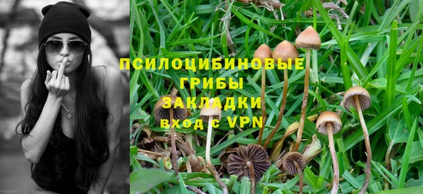 гидропоника Баксан