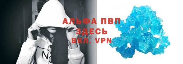 ПСИЛОЦИБИНОВЫЕ ГРИБЫ Гусев