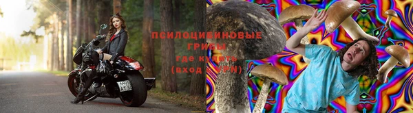 гидропоника Баксан